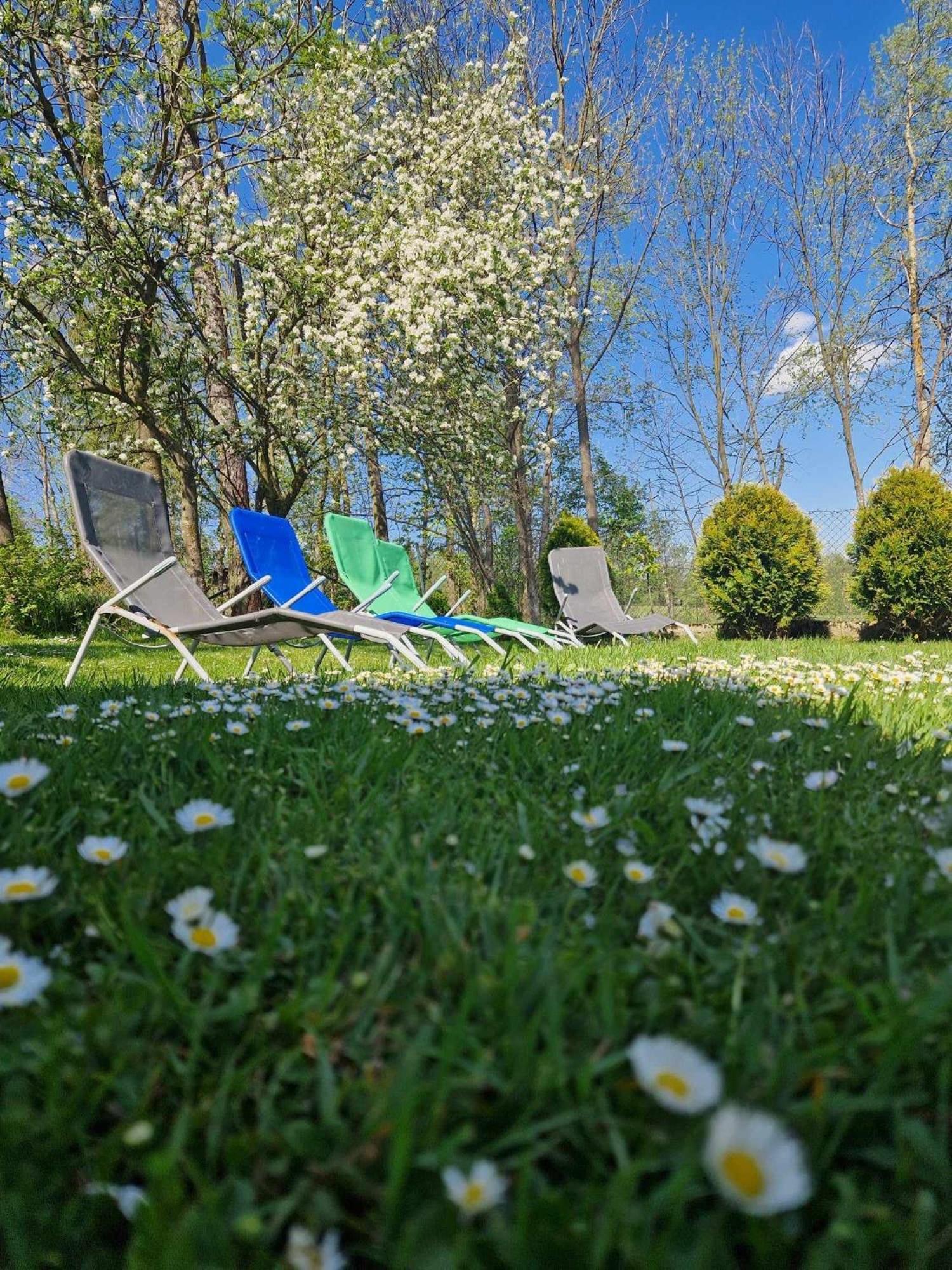 Apartamenty I Pokoje W Willi Na Ubocy Suche Exterior foto